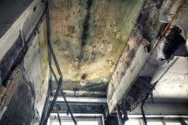 Asbestos and Lead Testing During Mold Inspection in Ontario, CA